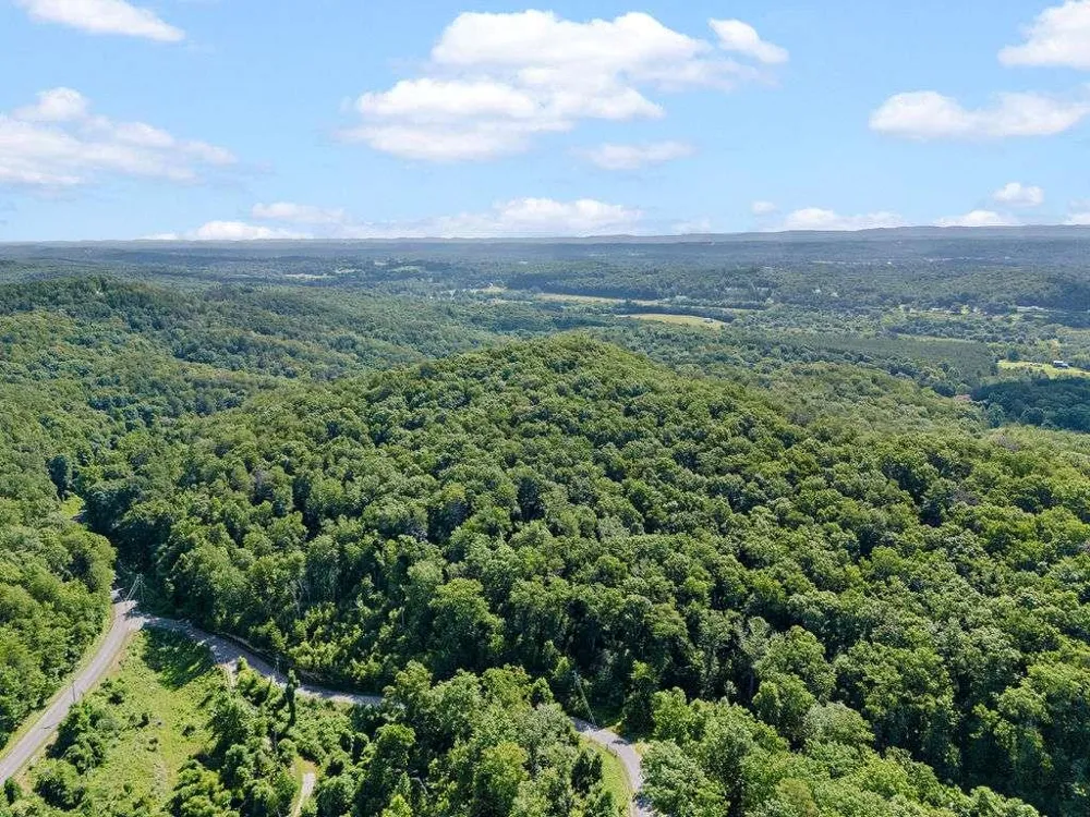 0 Shinbone Ridge Road La Fayette, GA 30728