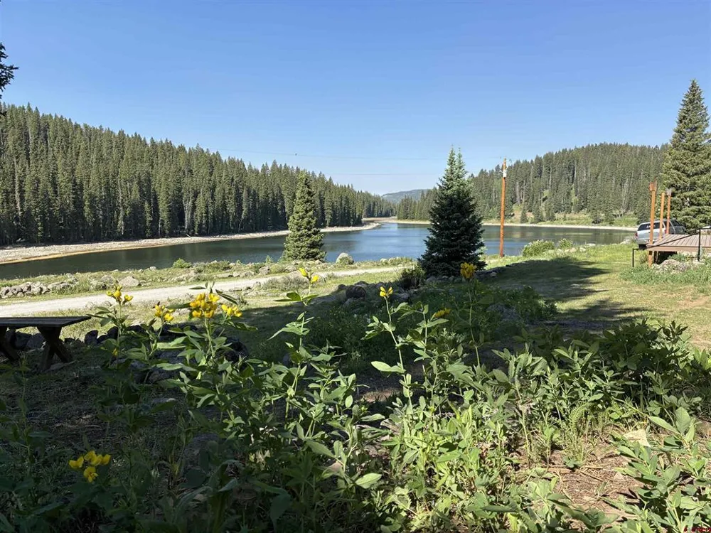 21333 College Drive Cedaredge, CO 81413