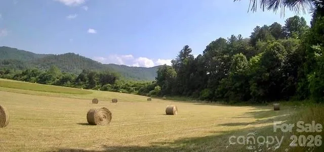 Mini Farm 2 & 3 TBD Coventry Drive Brevard, NC 28712