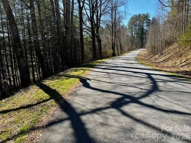 Mini Farm 2 & 3 TBD Coventry Drive Brevard, NC 28712