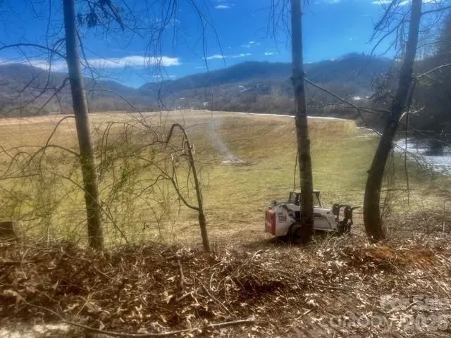 Mini Farm 2 & 3 TBD Coventry Drive Brevard, NC 28712