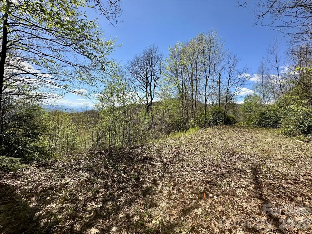 00 Aquina Mountain Mountain #H Maggie Valley, NC 28751