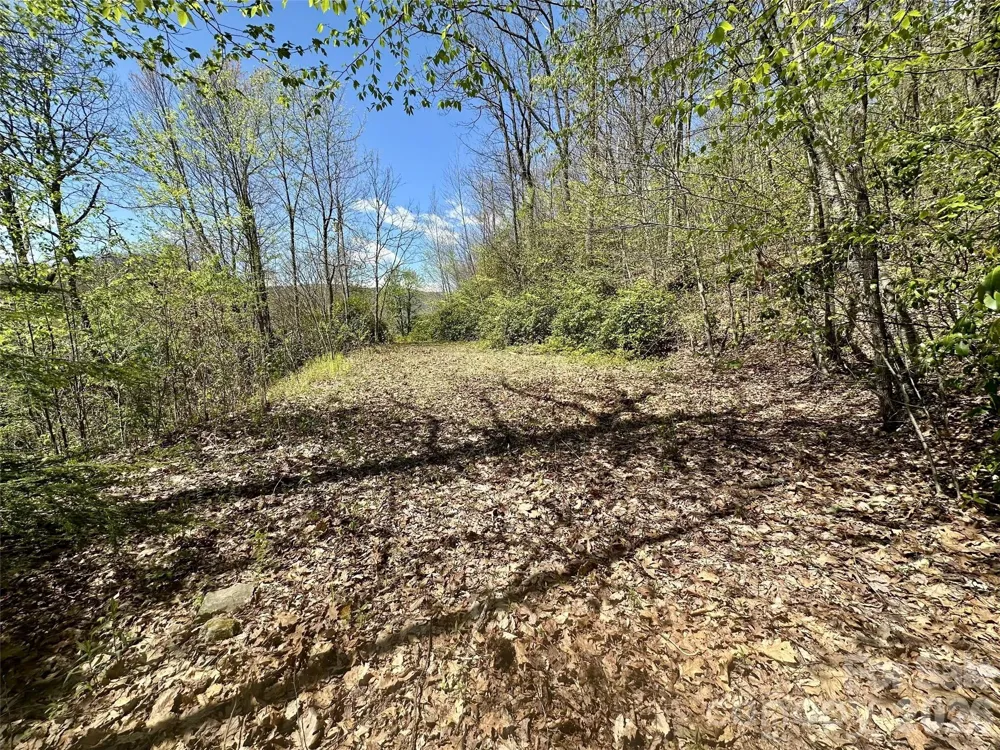00 Aquina Mountain Mountain #H Maggie Valley, NC 28751