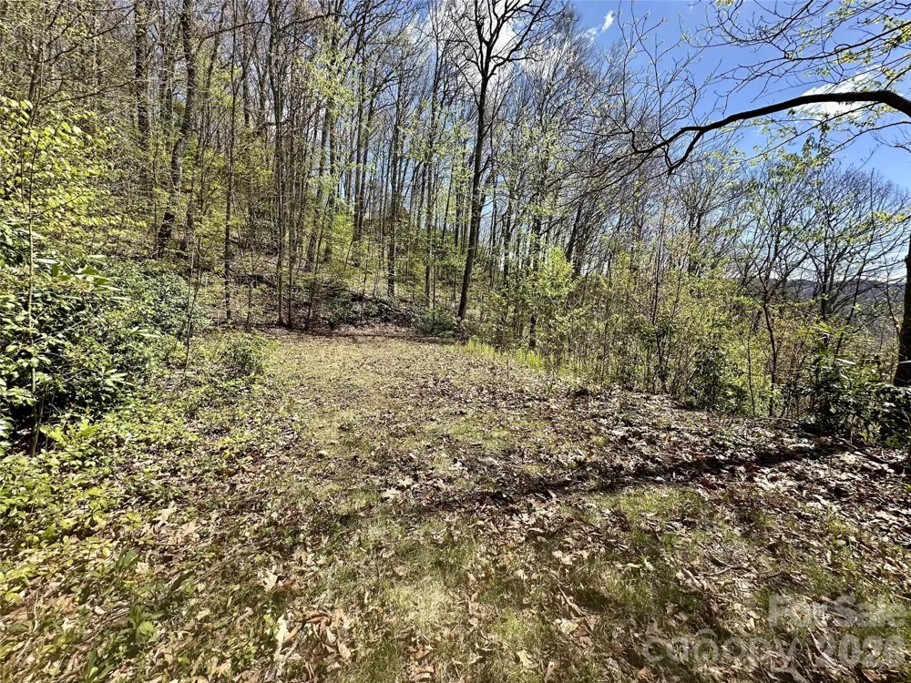 00 Aquina Mountain Mountain #H Maggie Valley, NC 28751