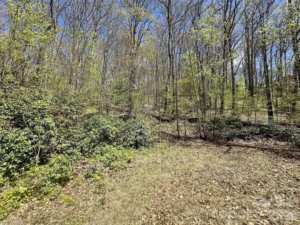 00 Aquina Mountain Mountain #H Maggie Valley, NC 28751
