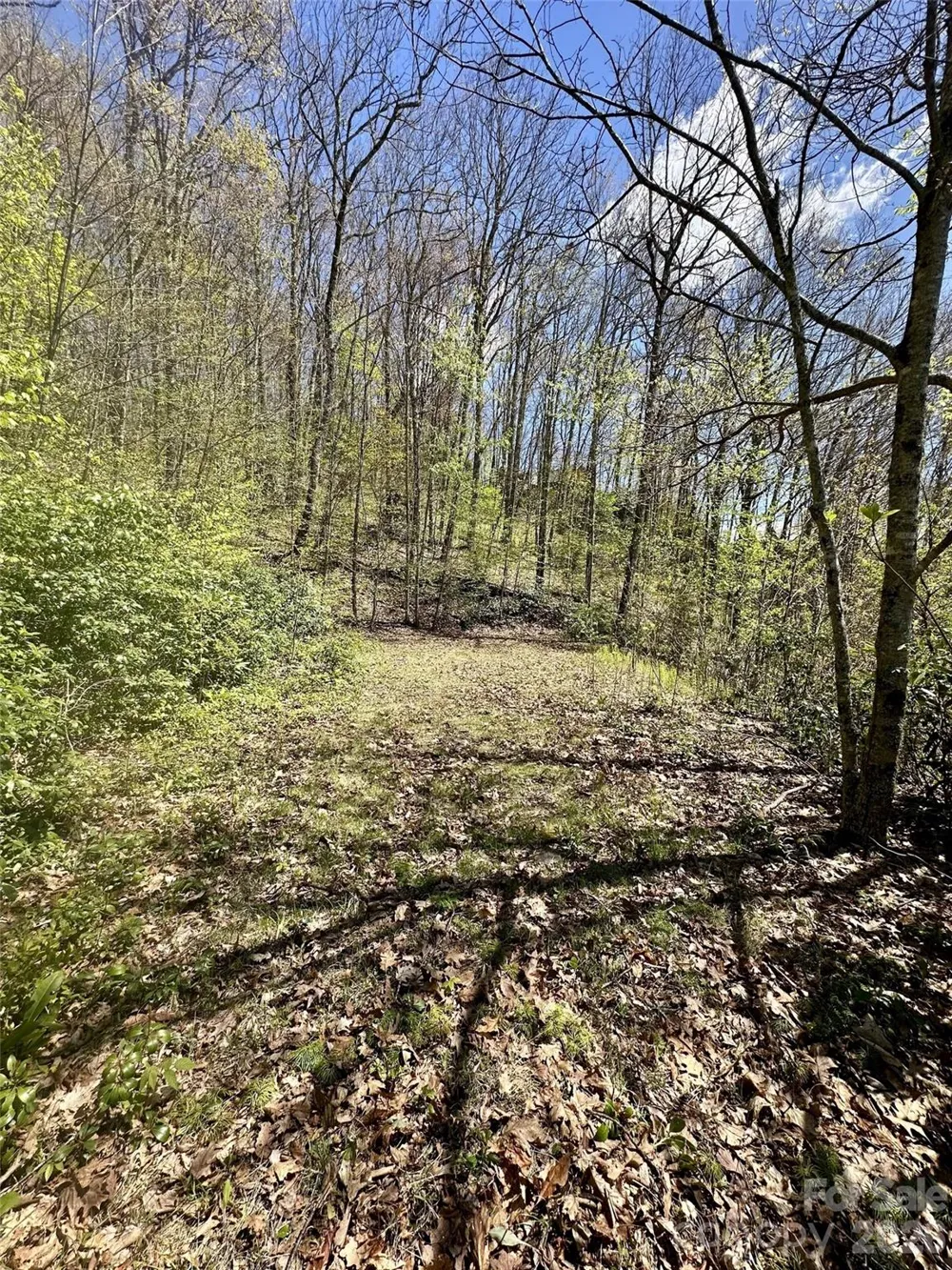 00 Aquina Mountain Mountain #H Maggie Valley, NC 28751