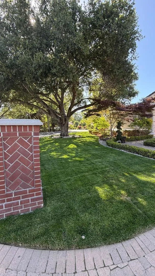 15863 Mina Way Saratoga, CA 95070