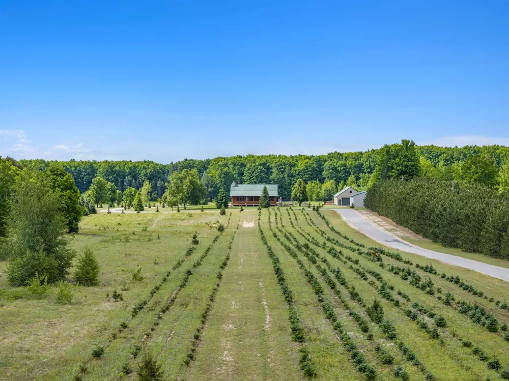 347 SW Boardman Road Orange Township, MI 49680