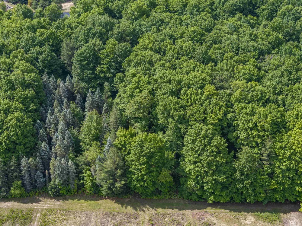 347 SW Boardman Road Orange Township, MI 49680