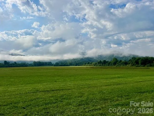 Mini Farm 2 TBD Coventry Drive Brevard, NC 28712