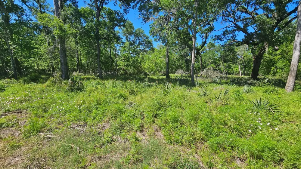 248 Middle Bayou Trail Angleton, TX 77515