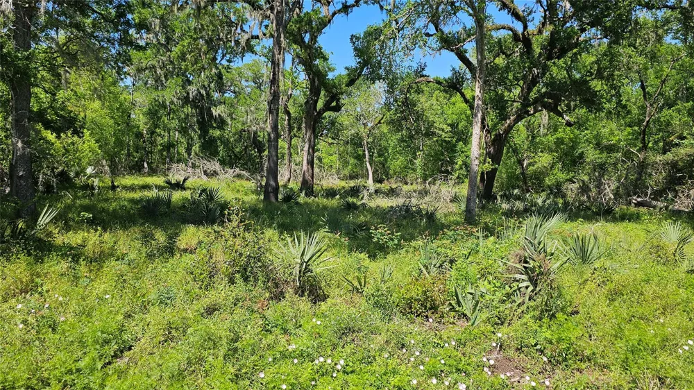 248 Middle Bayou Trail Angleton, TX 77515