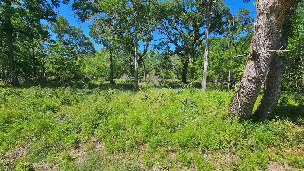 248 Middle Bayou Trail Angleton, TX 77515