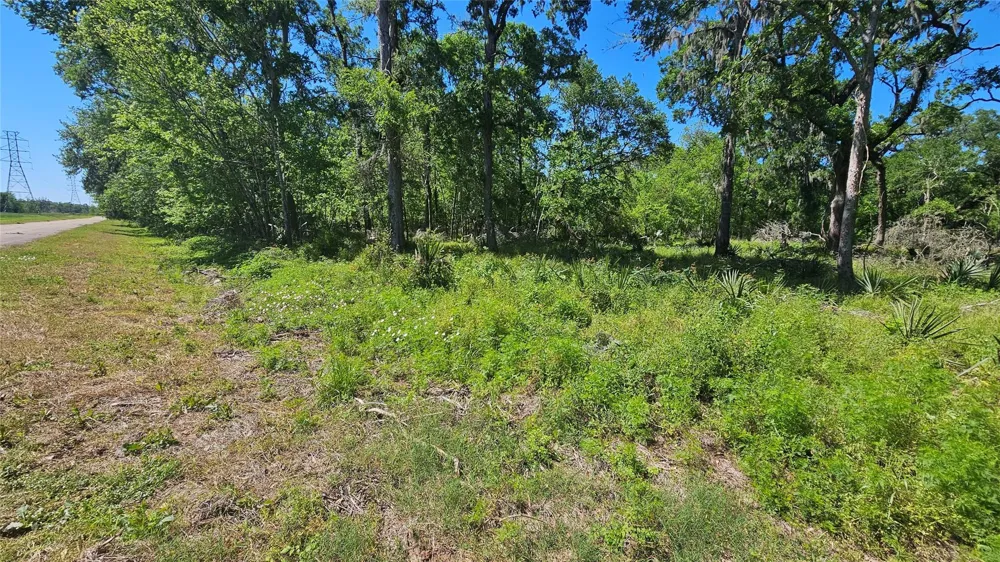 248 Middle Bayou Trail Angleton, TX 77515