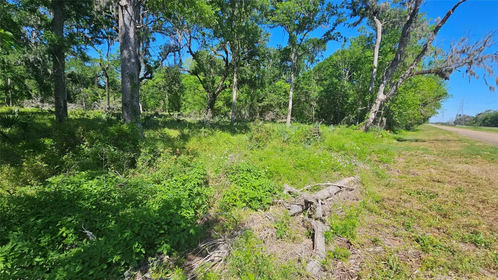 248 Middle Bayou Trail Angleton, TX 77515