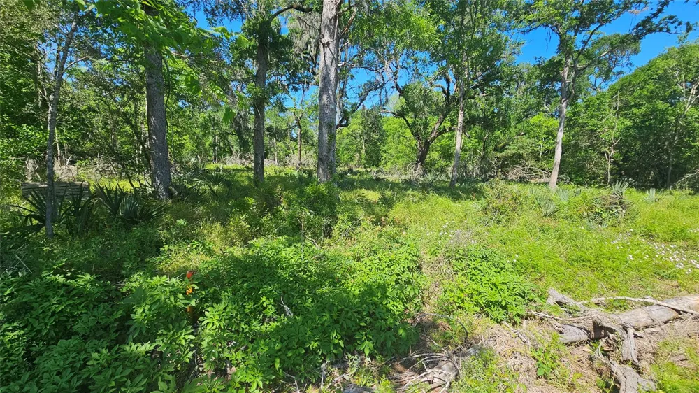 248 Middle Bayou Trail Angleton, TX 77515