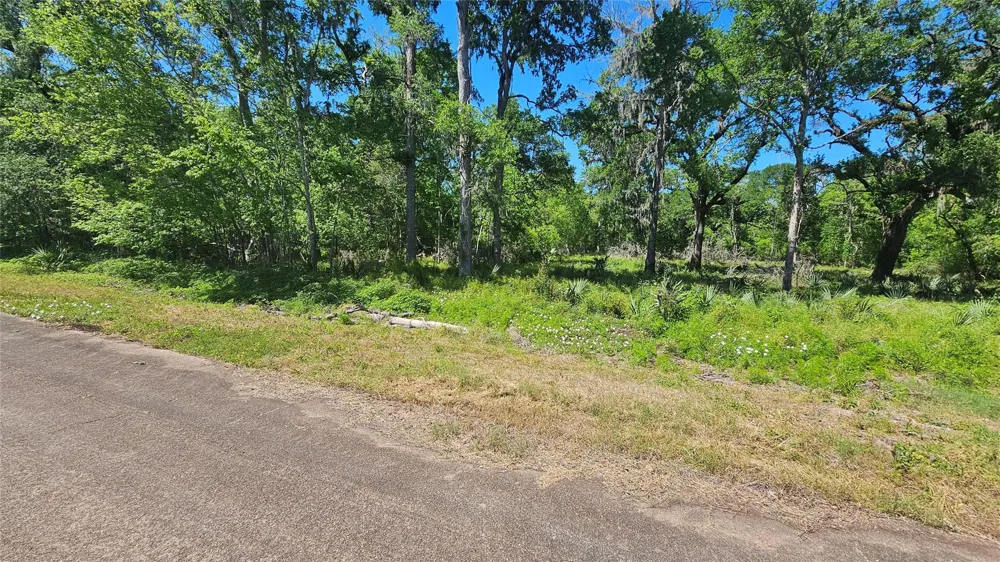 248 Middle Bayou Trail Angleton, TX 77515