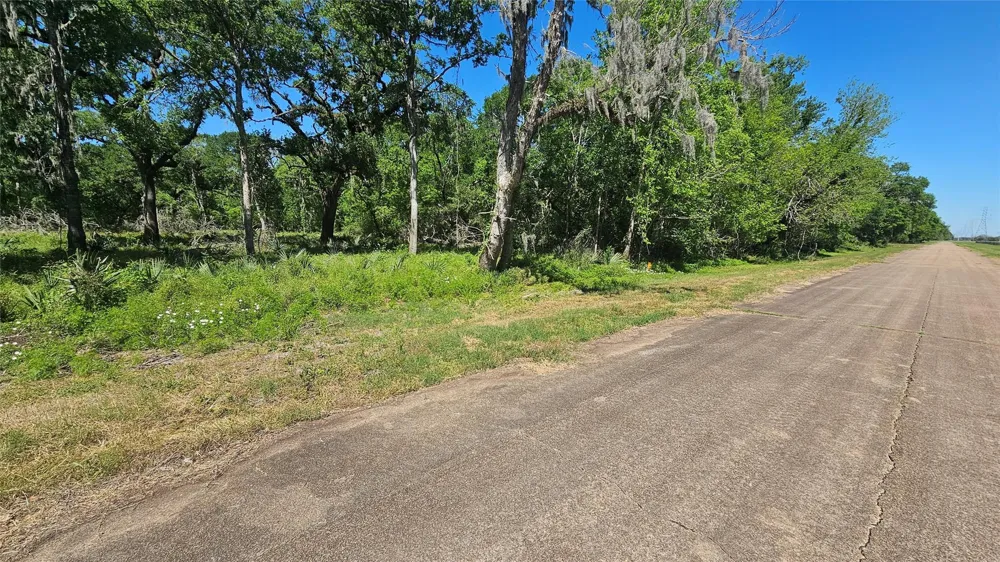 248 Middle Bayou Trail Angleton, TX 77515