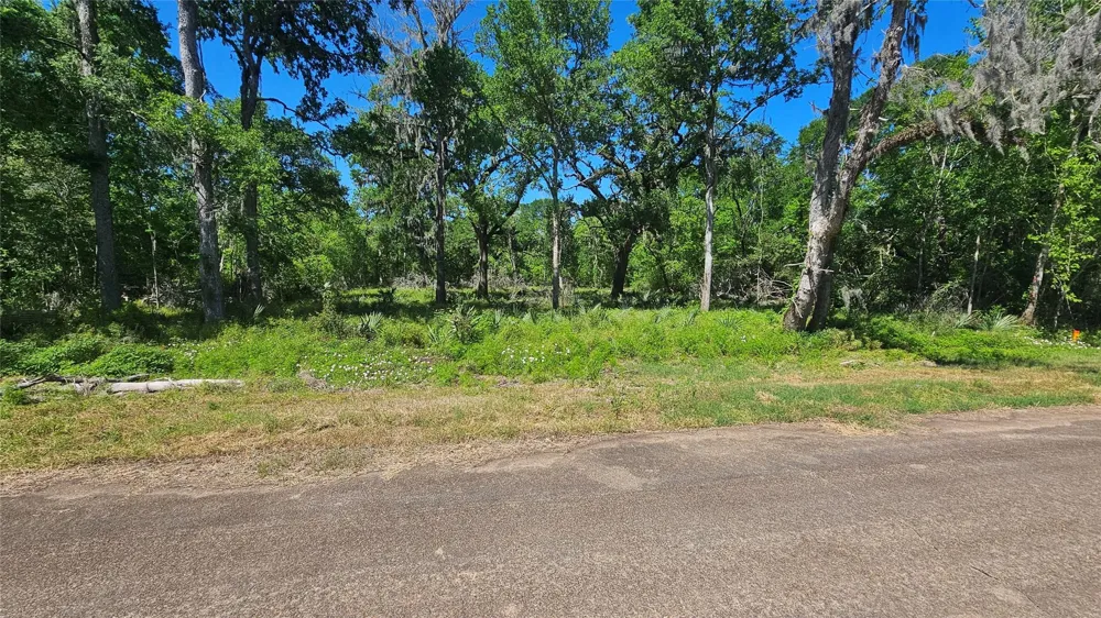 248 Middle Bayou Trail Angleton, TX 77515