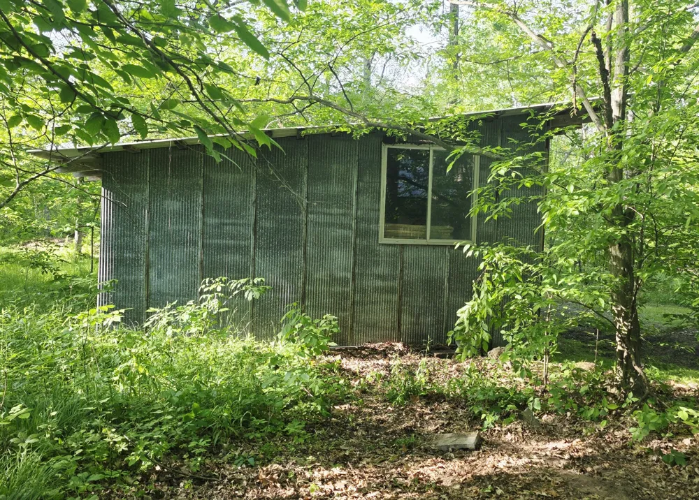 2790 W Wing Road Mount Pleasant, MI 48858