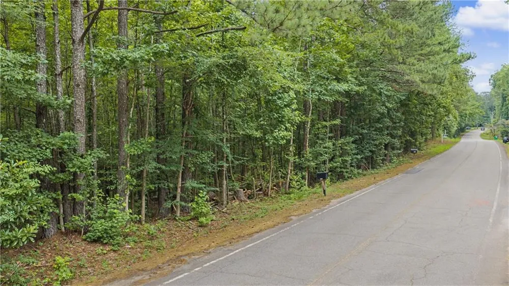 0 Cedar Grove Road Chattahoochee Hills, GA 30268