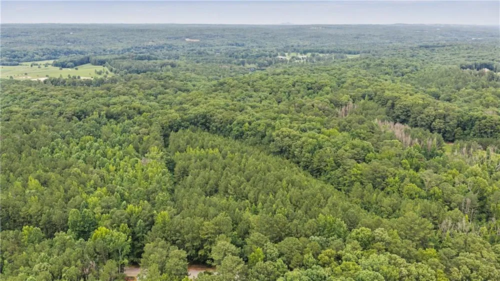 0 Cedar Grove Road Chattahoochee Hills, GA 30268
