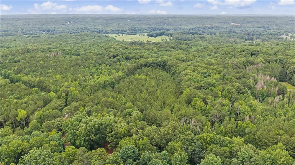 0 Cedar Grove Road Chattahoochee Hills, GA 30268