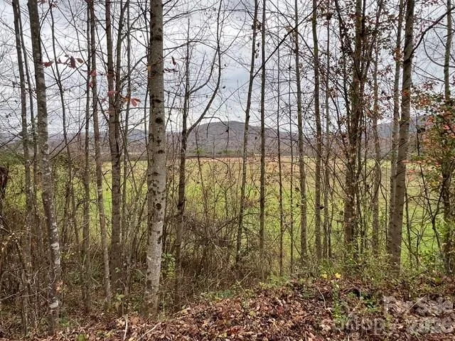 Mini Farm 3 TBD Coventry Drive Brevard, NC 28712