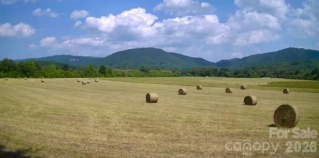 Mini Farm 3 TBD Coventry Drive Brevard, NC 28712
