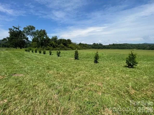 Mini Farm 3 TBD Coventry Drive Brevard, NC 28712