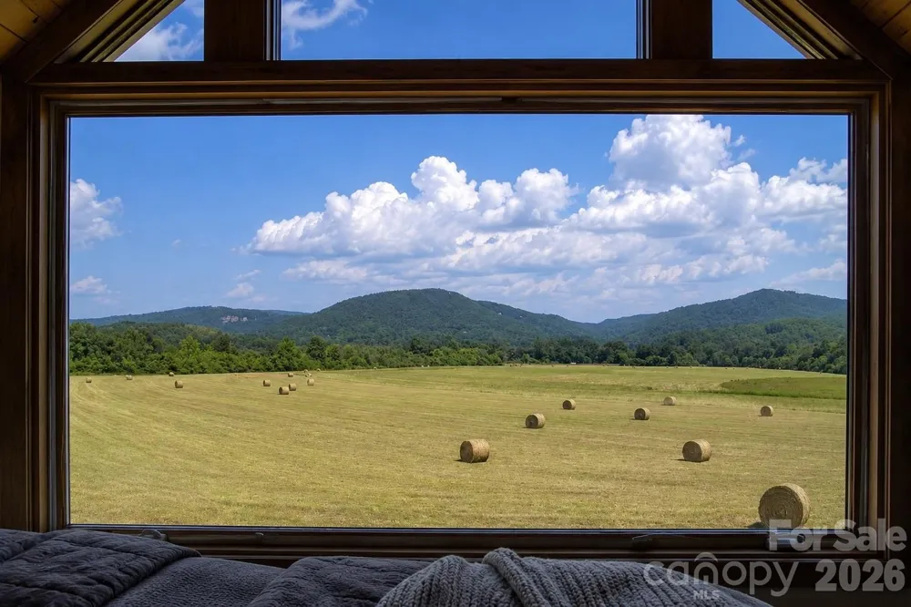 Mini Farm 3 TBD Coventry Drive Brevard, NC 28712