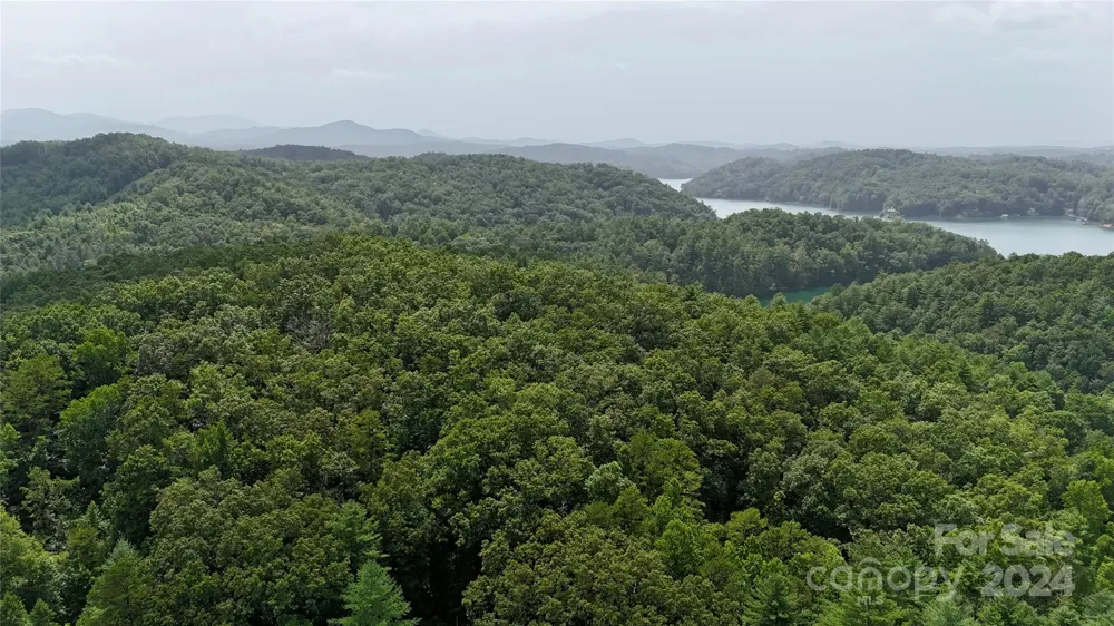 377 Jake Taylor Road Murphy, NC 28906