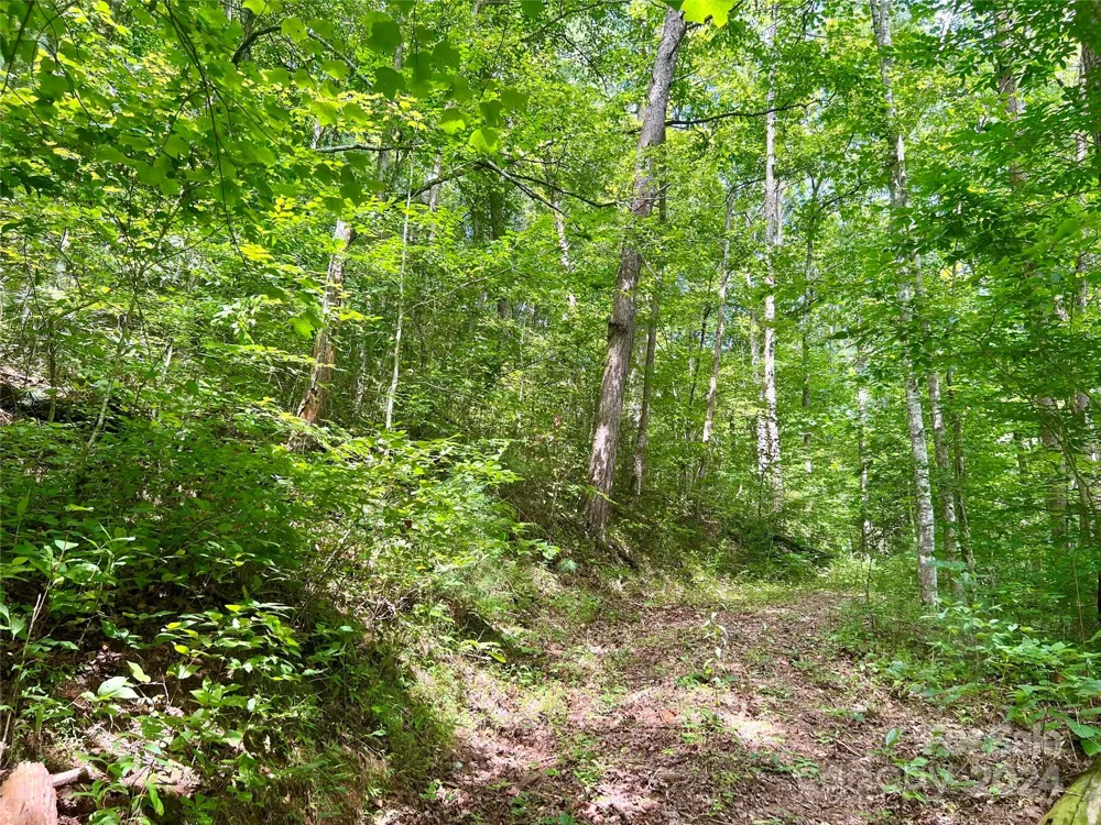 377 Jake Taylor Road Murphy, NC 28906