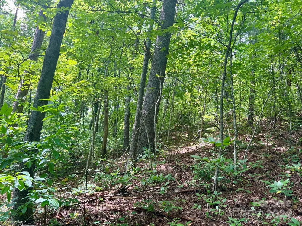 377 Jake Taylor Road Murphy, NC 28906