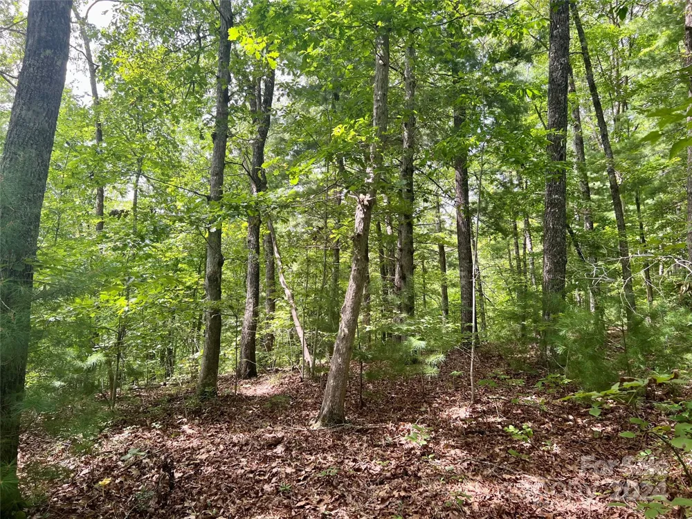 377 Jake Taylor Road Murphy, NC 28906