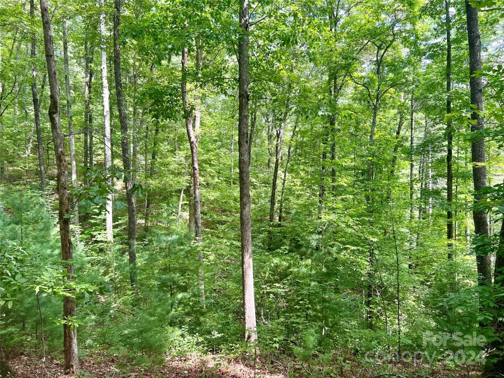377 Jake Taylor Road Murphy, NC 28906