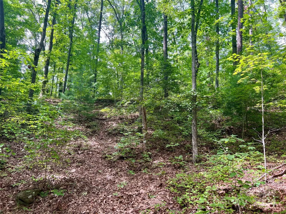 377 Jake Taylor Road Murphy, NC 28906