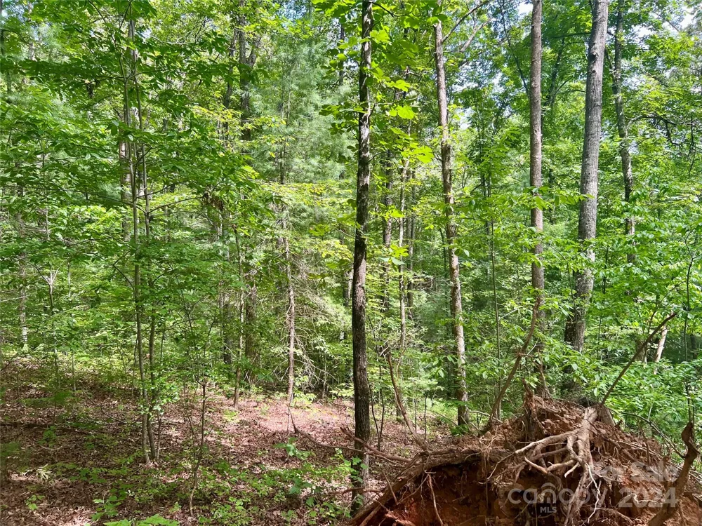 377 Jake Taylor Road Murphy, NC 28906