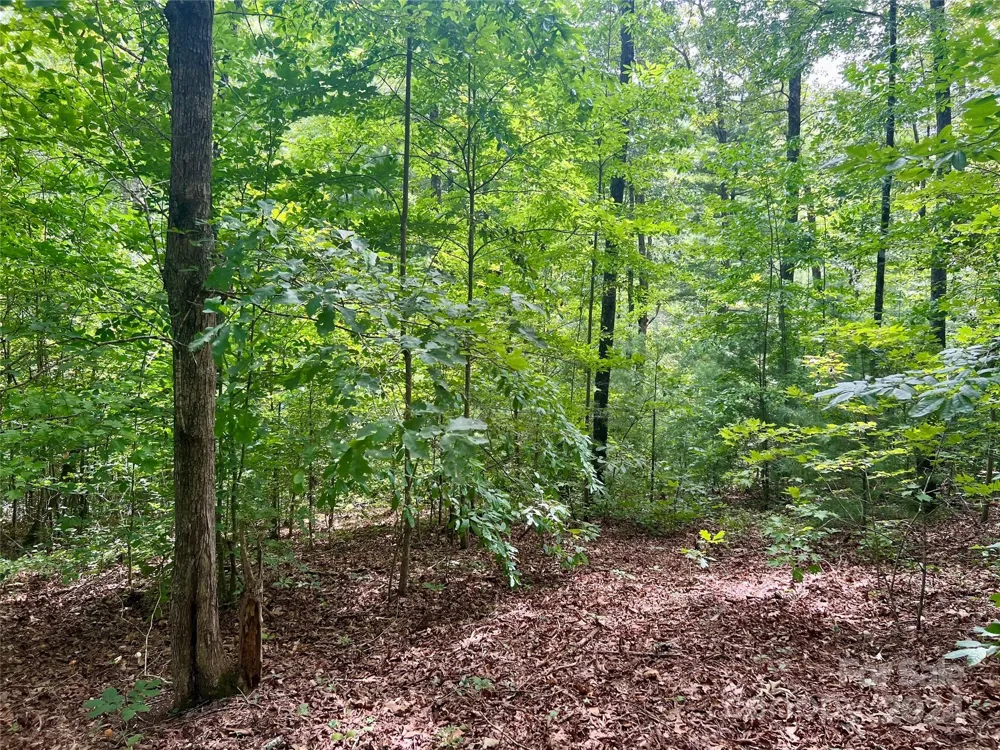 377 Jake Taylor Road Murphy, NC 28906