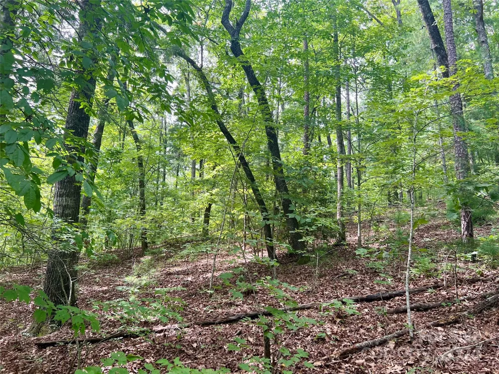 377 Jake Taylor Road Murphy, NC 28906