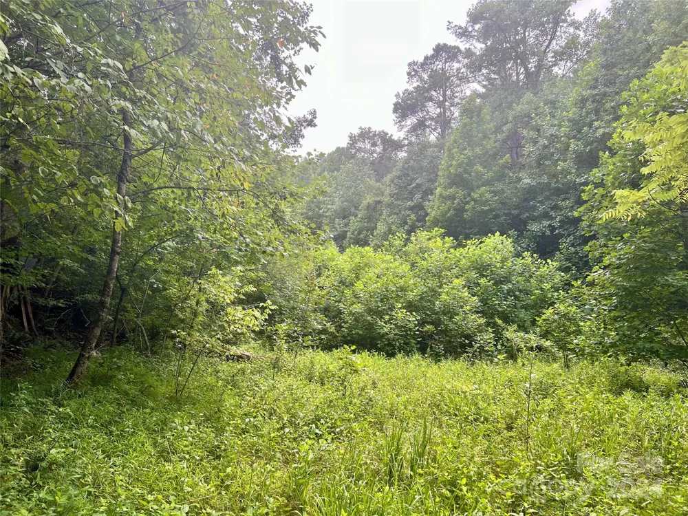 377 Jake Taylor Road Murphy, NC 28906