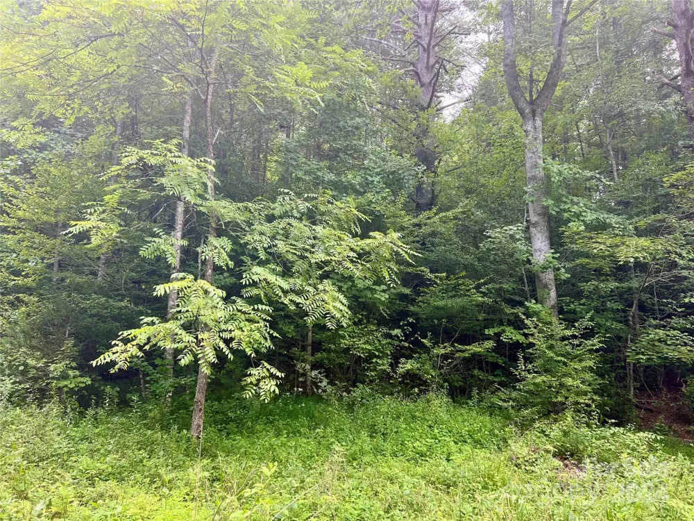377 Jake Taylor Road Murphy, NC 28906