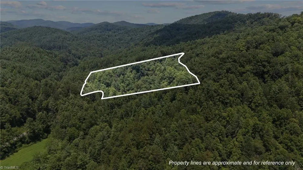 1296 Sheets Gap Road Millers Creek, NC 28651
