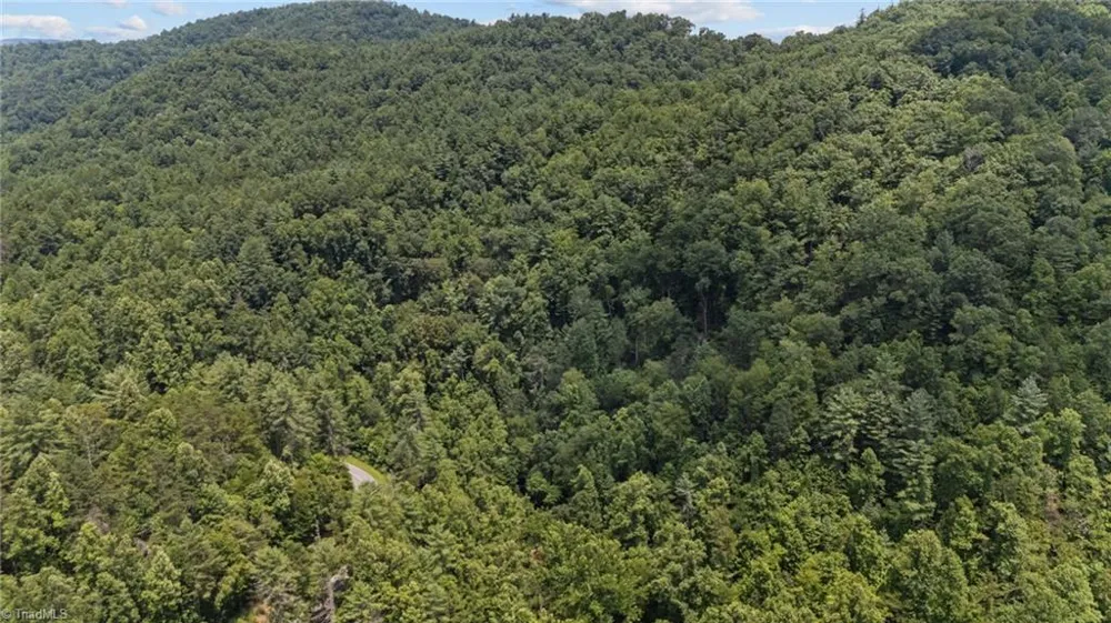 1296 Sheets Gap Road Millers Creek, NC 28651