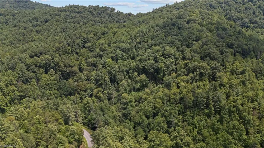 1296 Sheets Gap Road Millers Creek, NC 28651