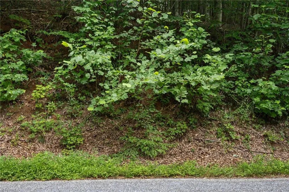 1296 Sheets Gap Road Millers Creek, NC 28651