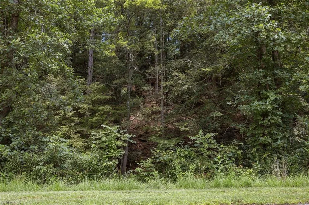 1296 Sheets Gap Road Millers Creek, NC 28651