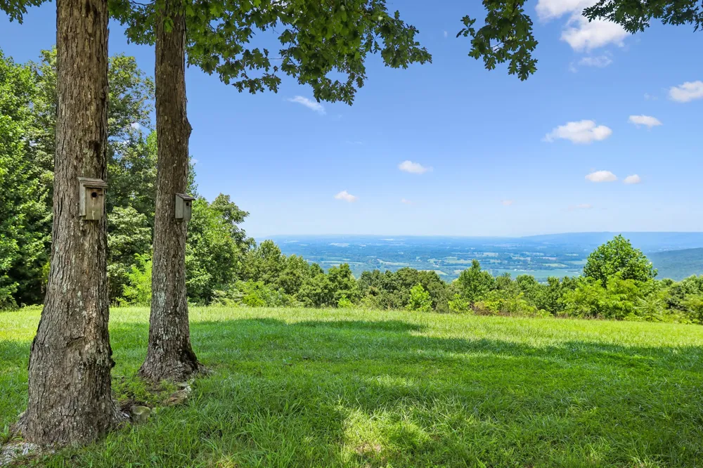 231 Point Dr Belvidere, TN 37306