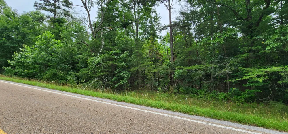 Sequatchie Mountain Sequatchie, TN 37374