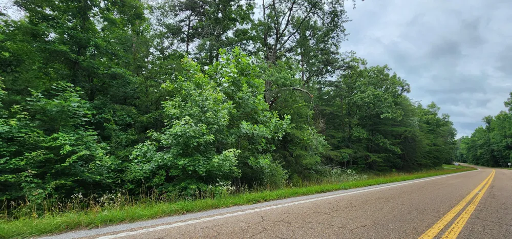 Sequatchie Mountain Sequatchie, TN 37374